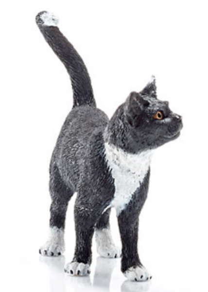 KATZE SCHWARZ - STEHEND